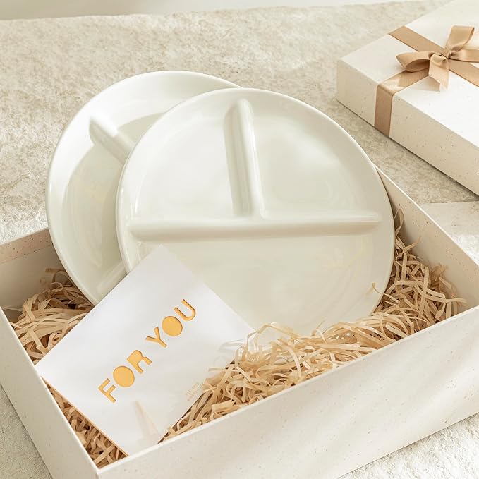 Porcelain Division Dinner Plates Set of 2, 9 Inch Divided Plates for Adults, Balanced Meal Building - White